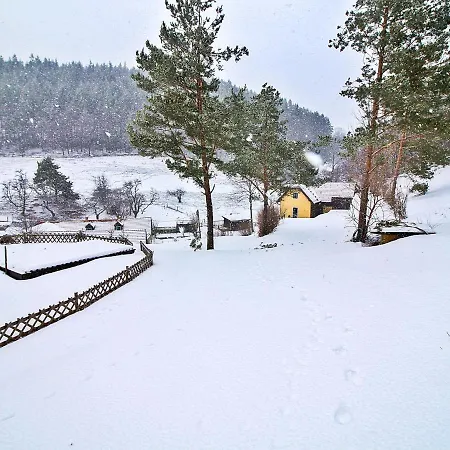 Holiday Feichtinger